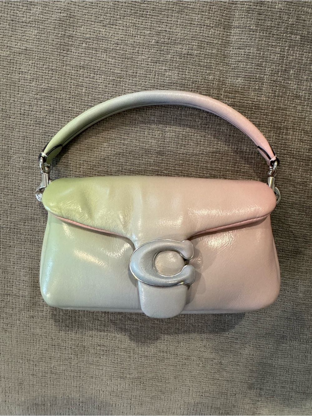 Coach Ombré Pistachio 18 Pillow Tabby
